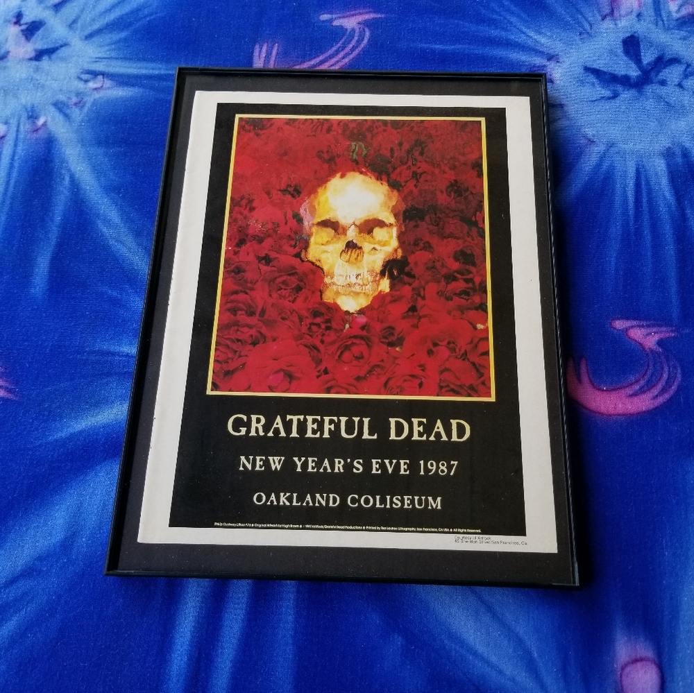 ☆ Grateful Dead Live at the Oakland Coliseum ☆ American Beauty ☆ Skeleton Skull